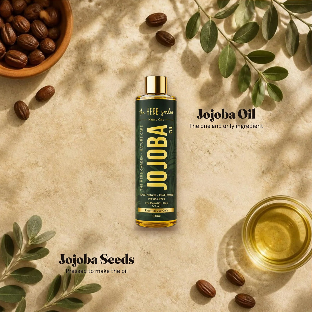 Jojoba seeds, jojoba leaves and jojoba oil around the bottle